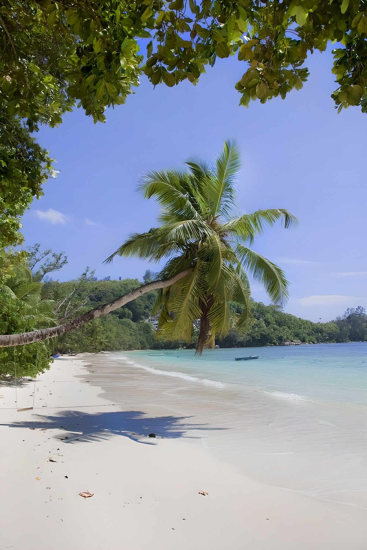 Paradijselijk strand met palmbomen