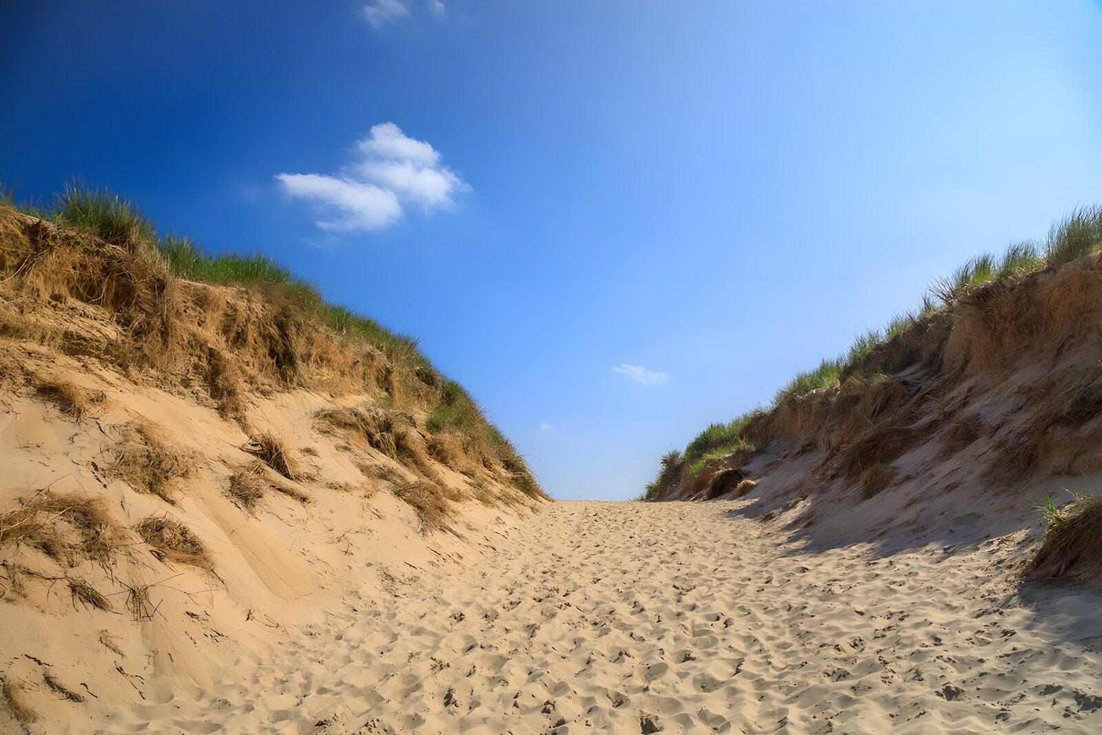 CW8673168: Zandpad tussen duinen onder blauwe lucht