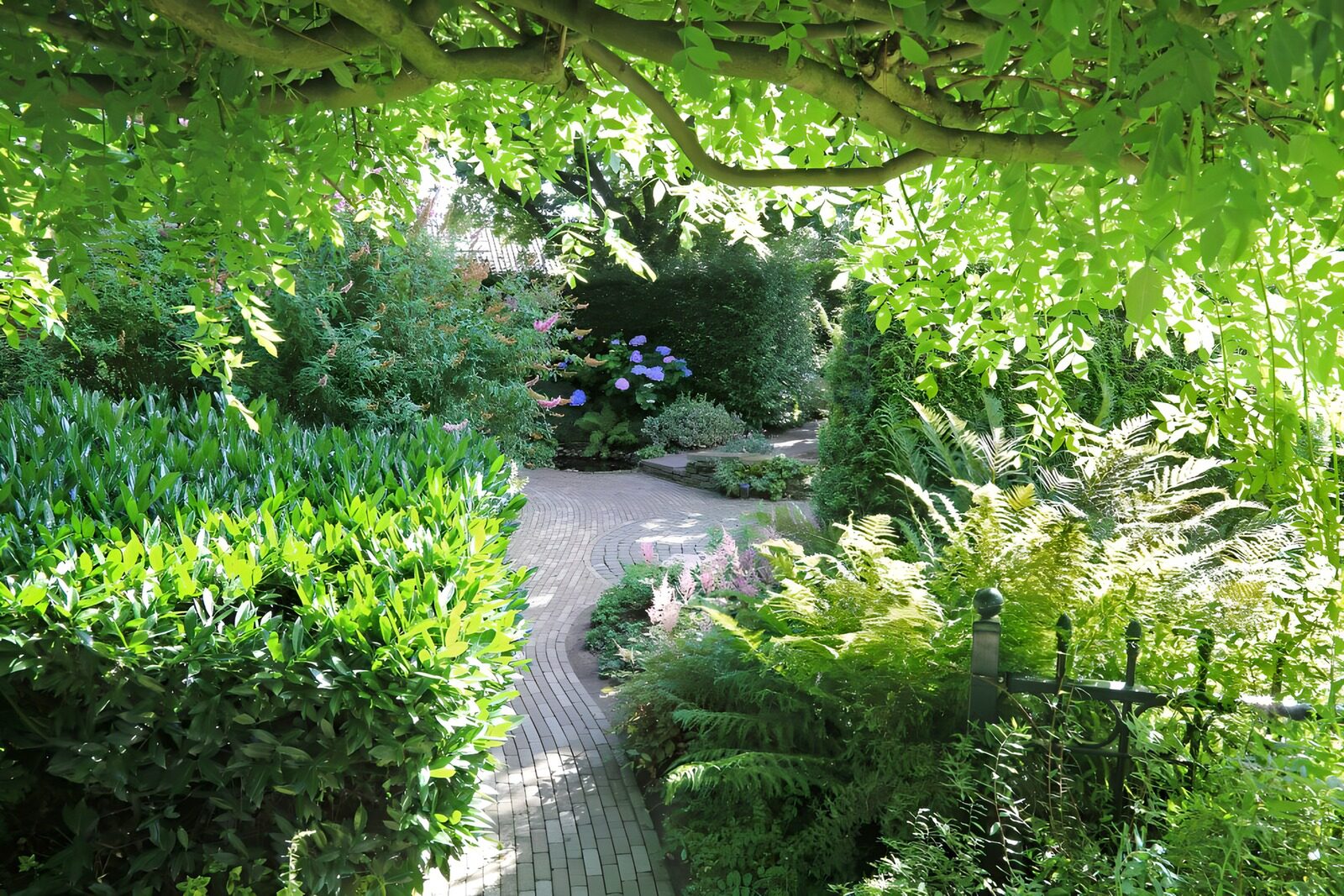 CW6606002: Rustige tuin met groene paden