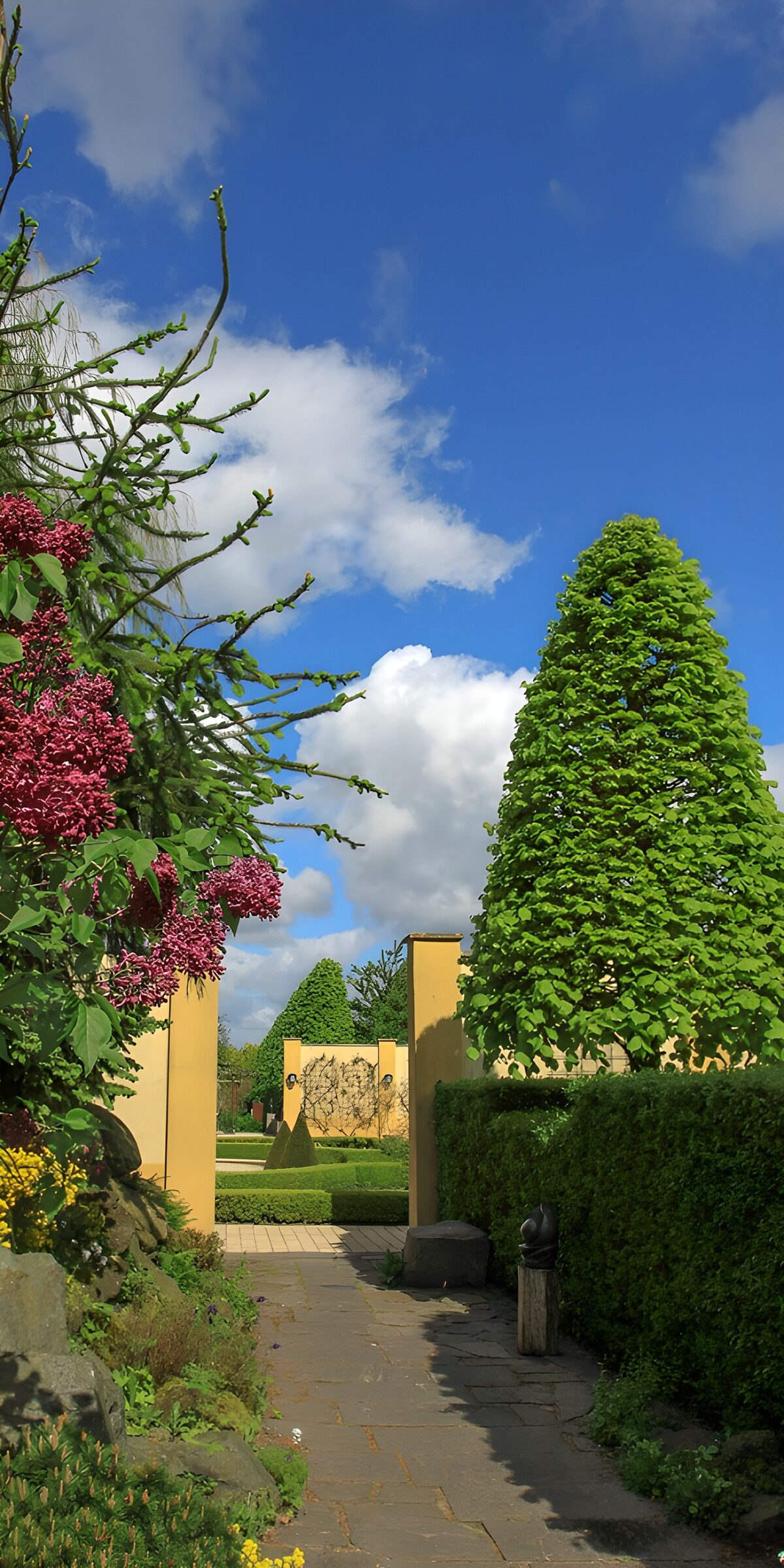 CW8054256: Bloeiende tuin met geometrische vormen
