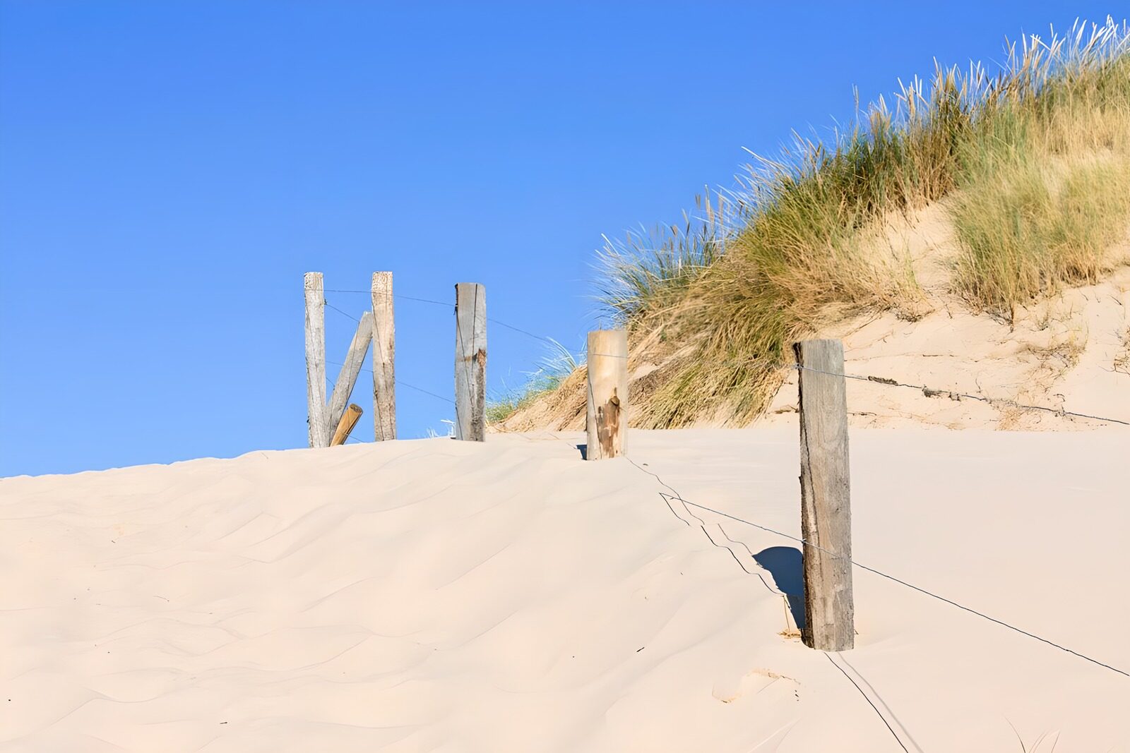CW8332954: Zandduinen en houten paaltjes