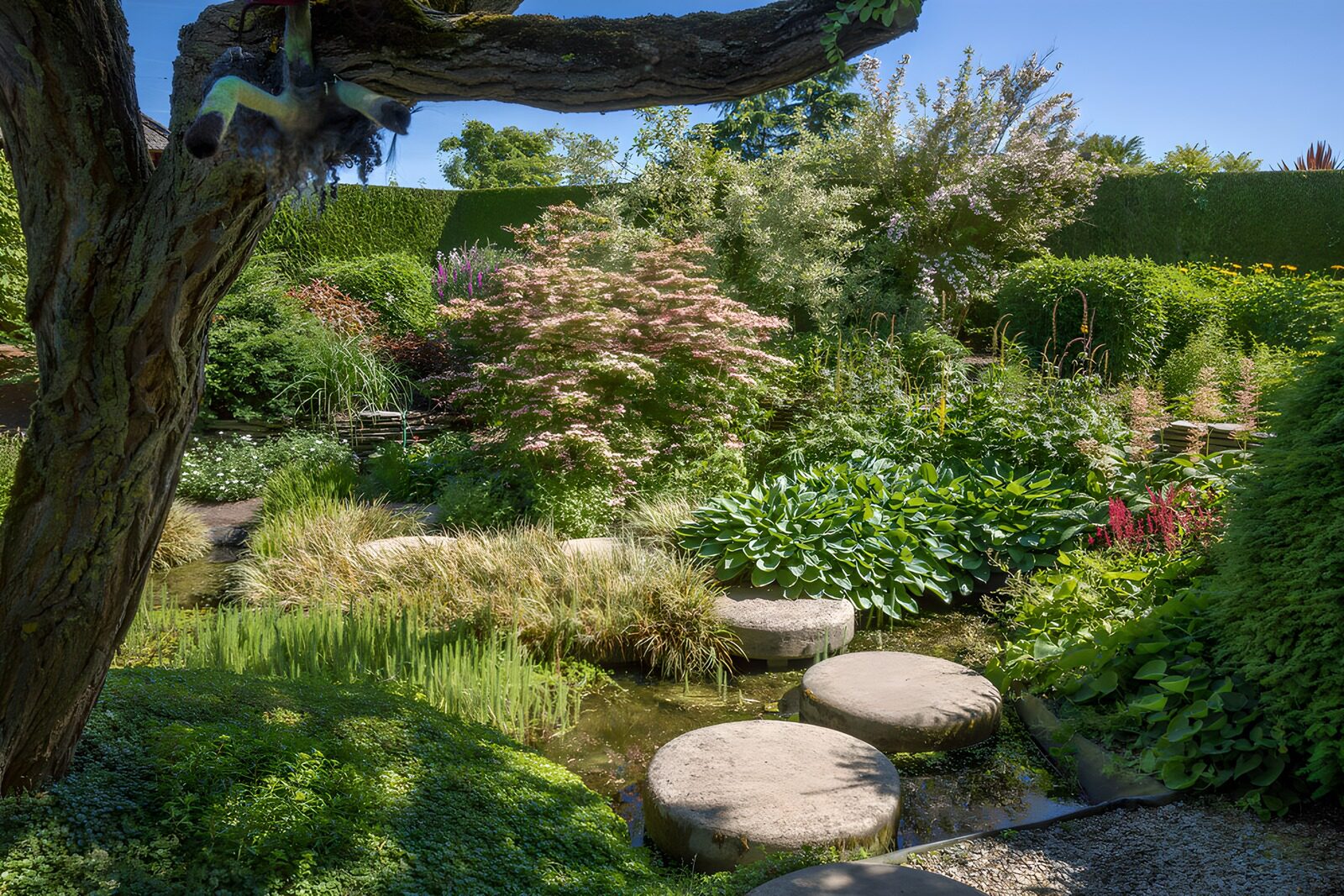 CW9112533: Mooie Tuin met Waterelementen
