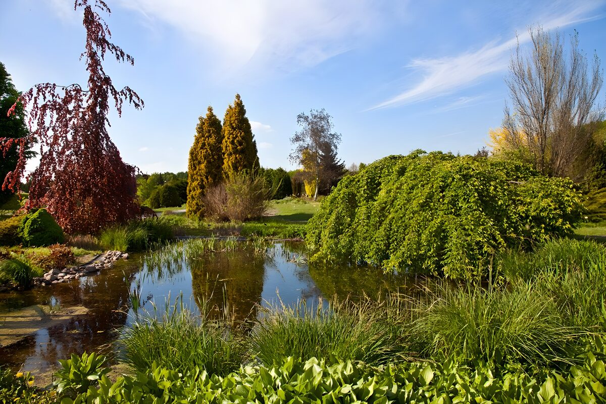 Prachtige landschapstuin met waterpartij