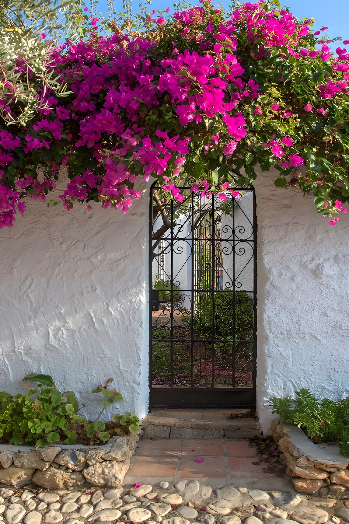Betoverende poort met bloeiende bougainvillea