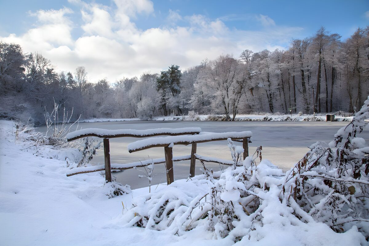 Betoverend winterlandschap aan het water