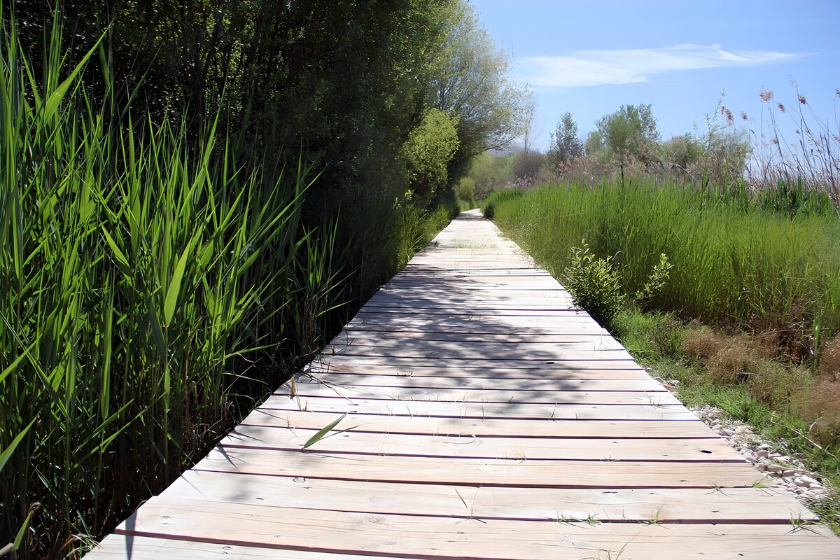 Houten pad door groen landschap