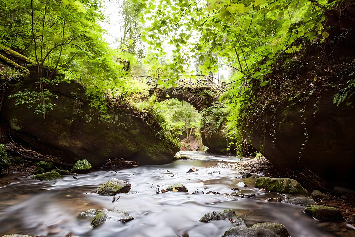 Het groene paradijs met een houten brug