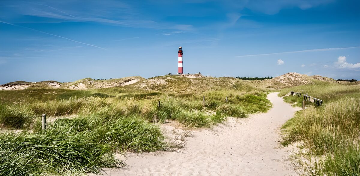 CW5814662: Vuurtoren in de duinen