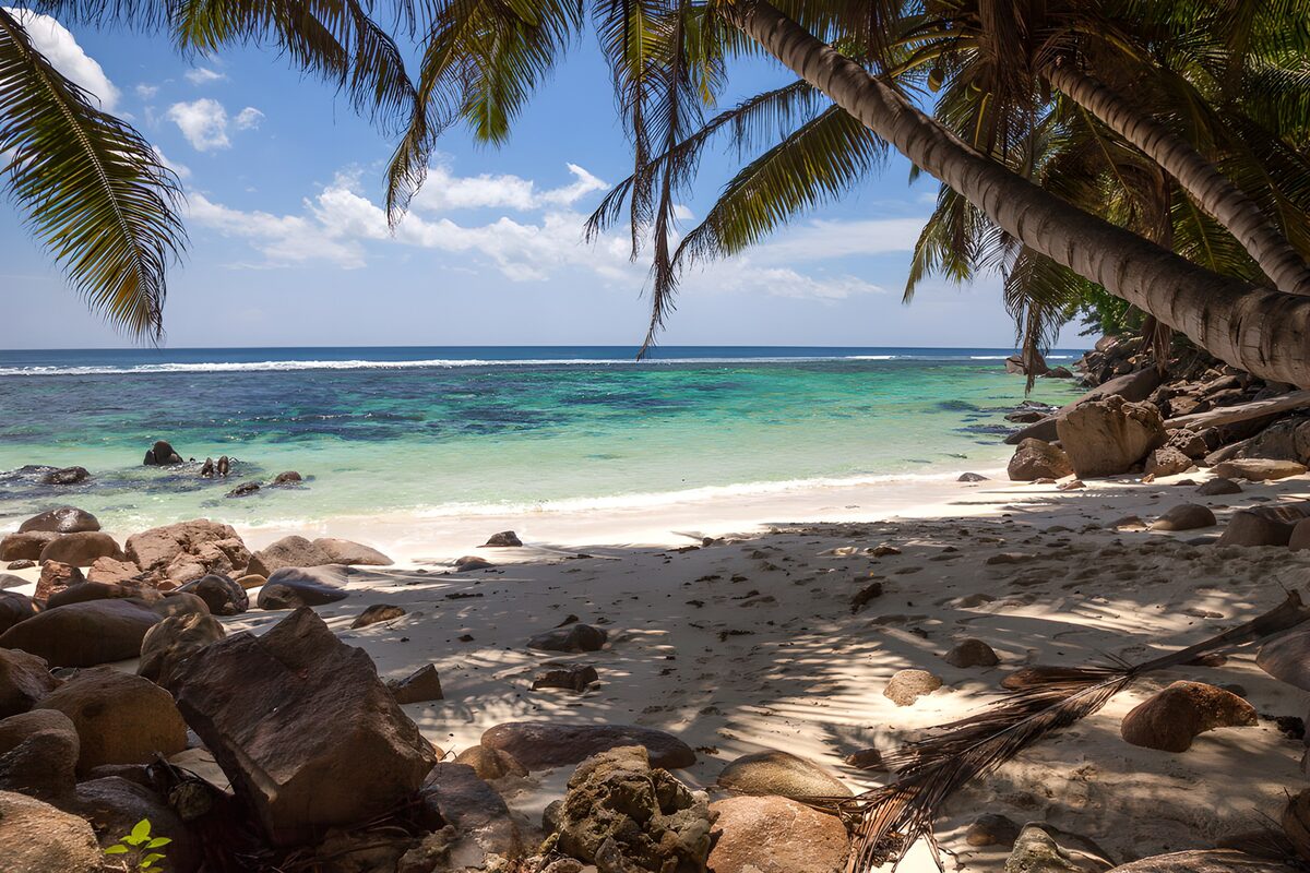 CW6920449: Tropisch strand met palmbomen