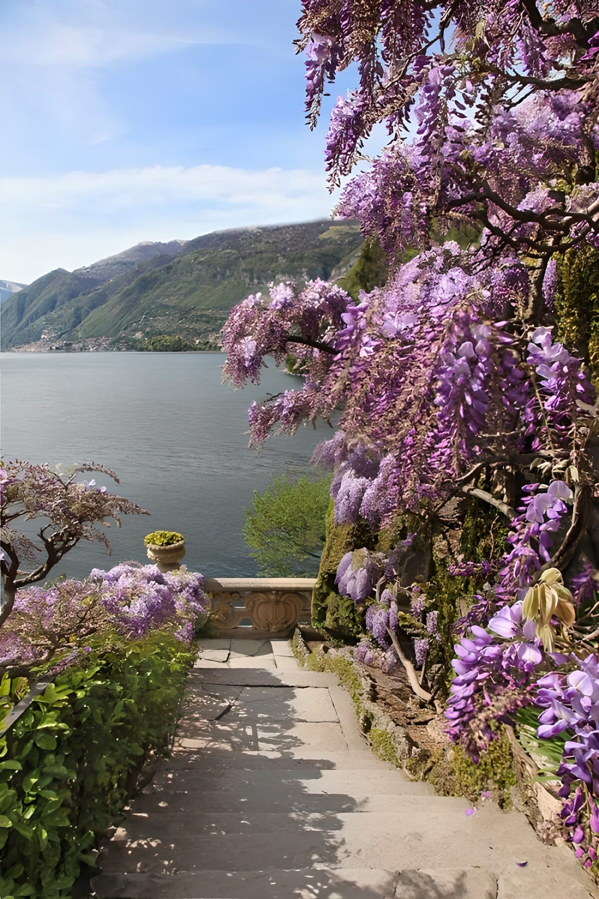 Prachtige lila bloemen aan het water