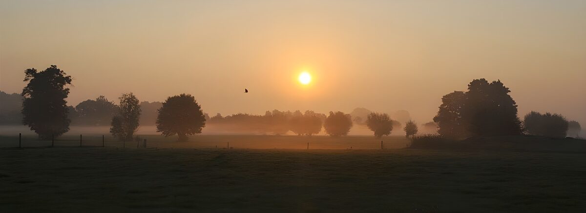 Mistige zonsopgang boven het landschap