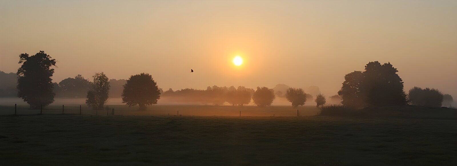 CW4705736: Mistige zonsopgang boven het landschap
