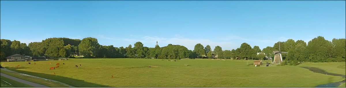 Rustig Hollands Landschap met Koeien