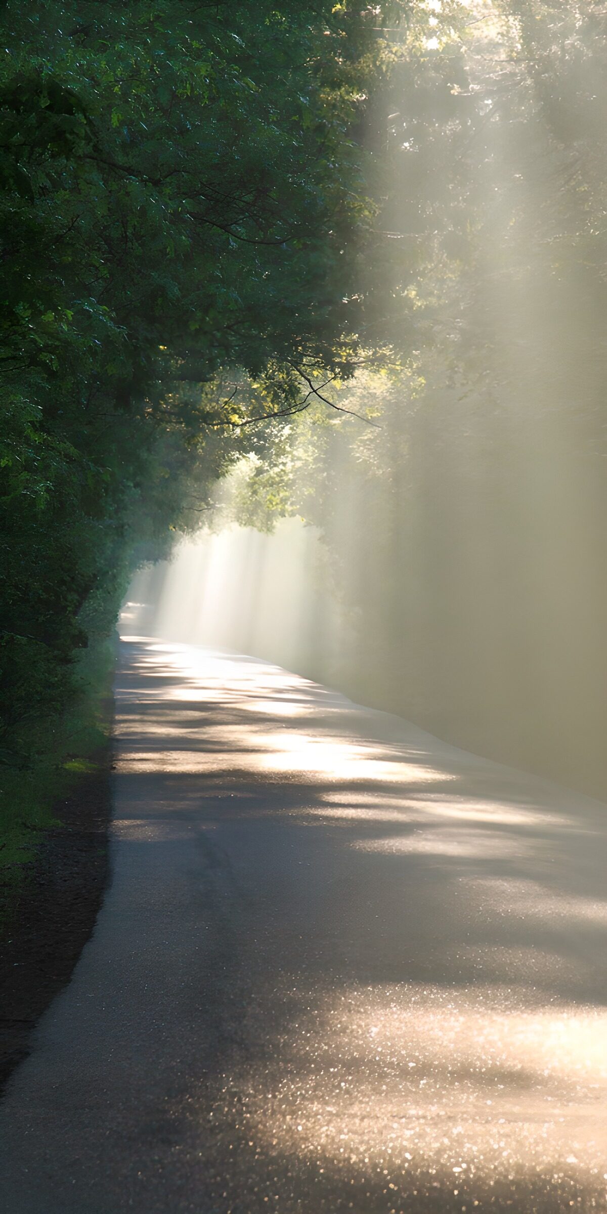 CW9524264: Zonnestralen over een stille weg