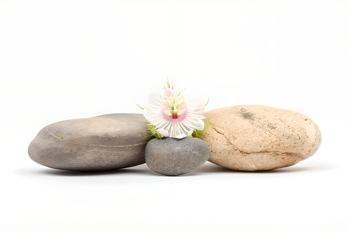 Zacht Evenwicht met Bloem en Steentjes