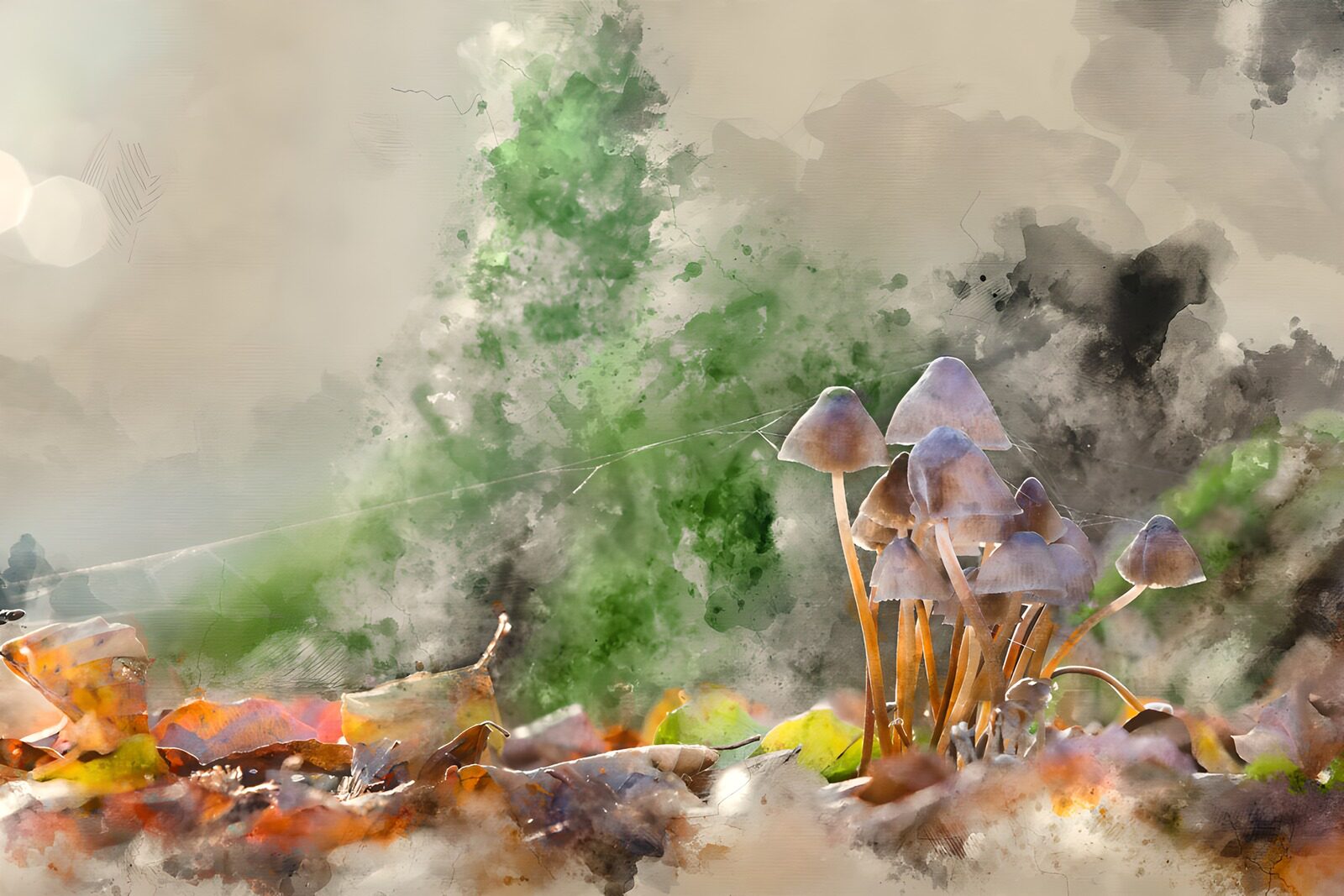 CW9993806: Mystieke Paddenstoelen in de Natuur