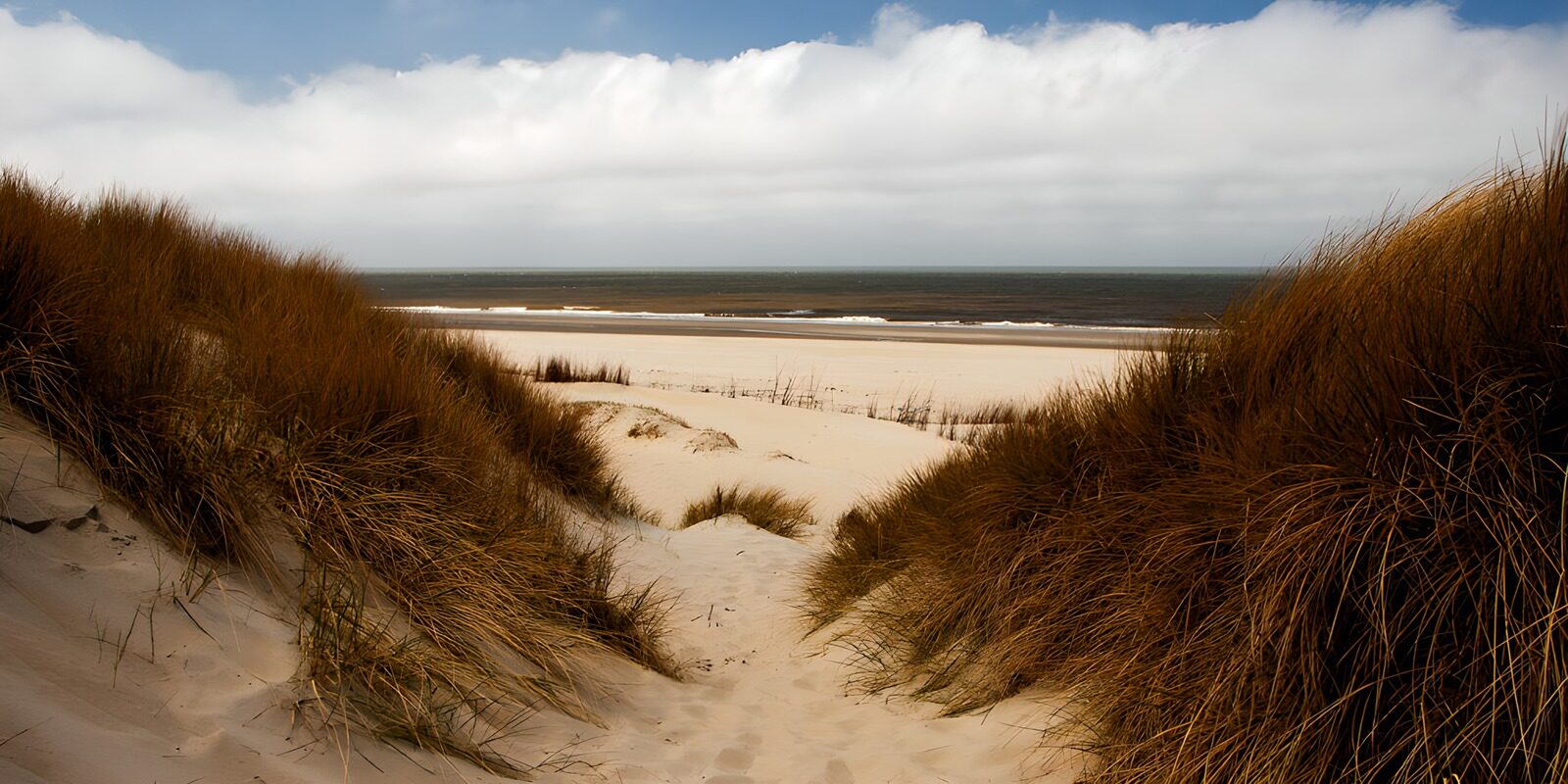 CW1930160: Duinen en zee bij bewolkt weer