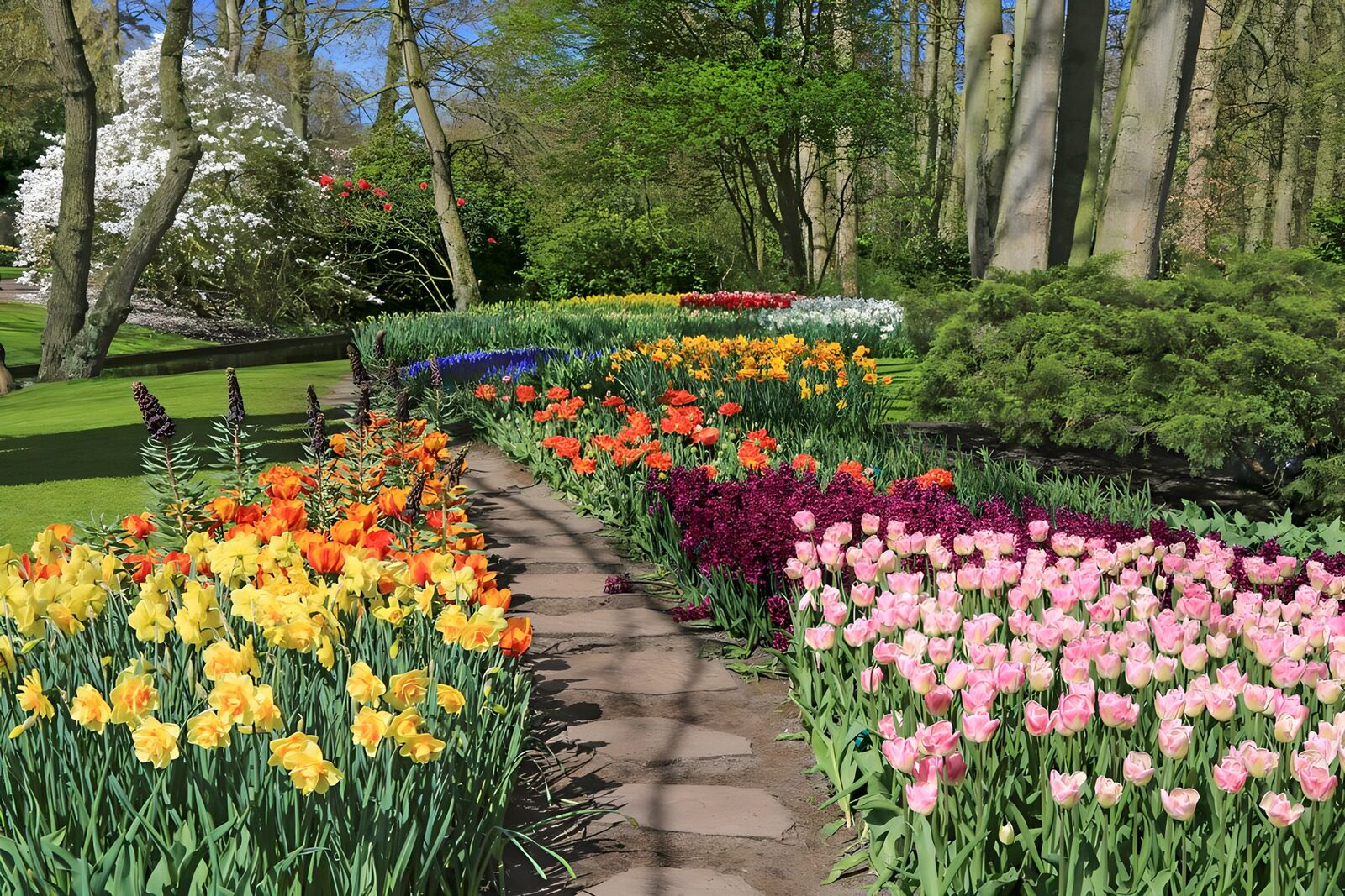 CW9841739: Kleurrijke Bloemenpracht in de Tuin