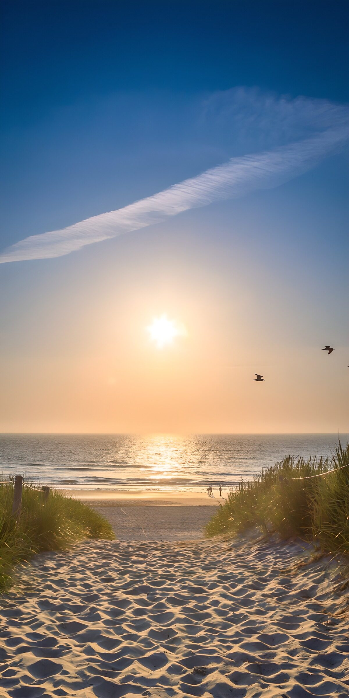 CW9751554: Zonsondergang boven het strand