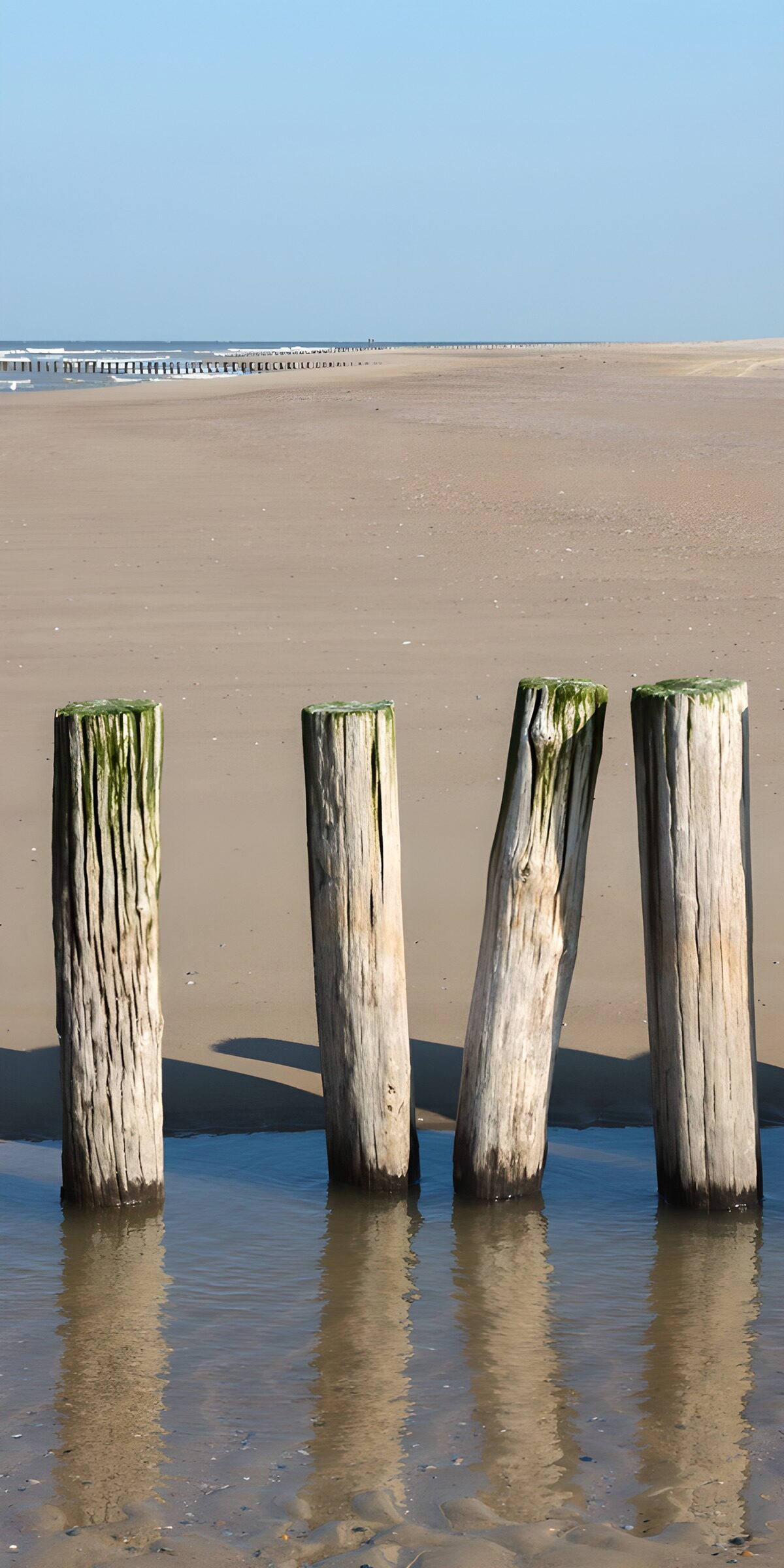 CW8653997: Zilte palen aan het strand