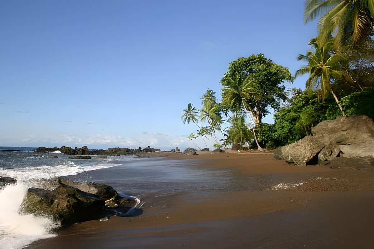 CW3285888: Tropisch strand met palmbomen