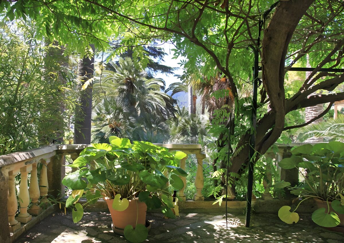 Groene oase met uitzicht op palmbomen