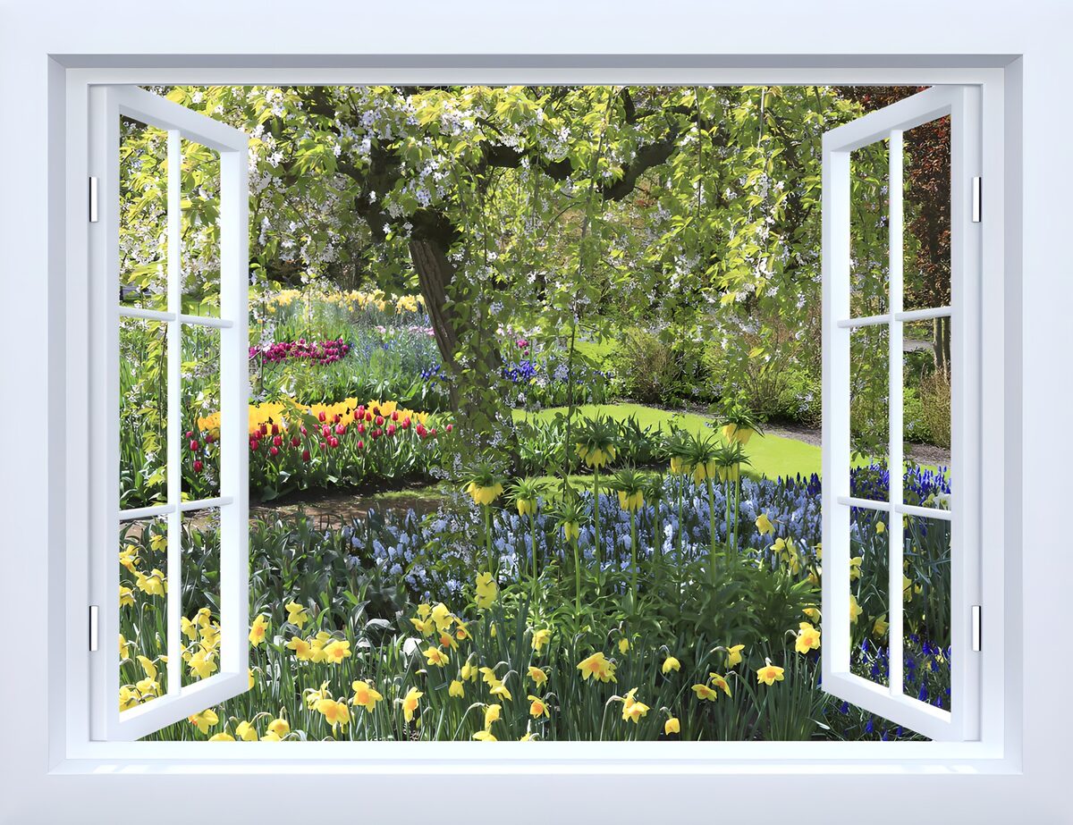 Uitzicht op een bloeiende tuin