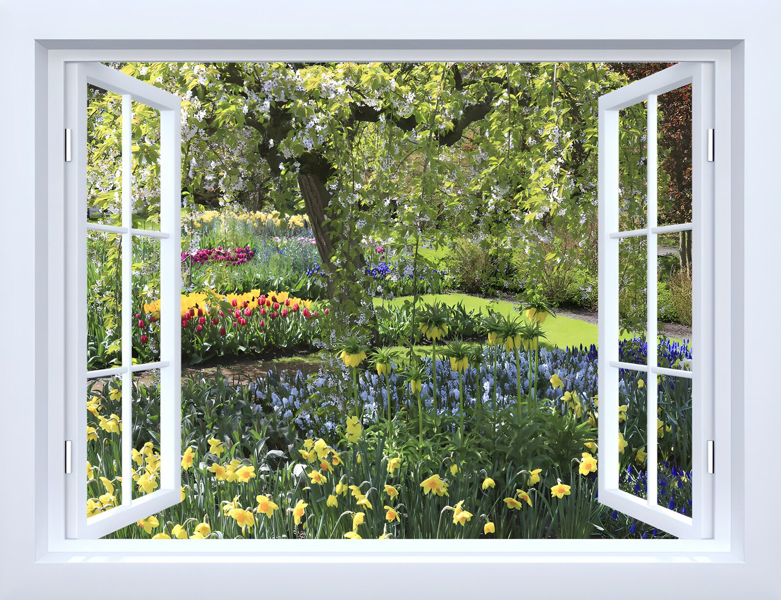 CW7736523: Uitzicht op een bloeiende tuin