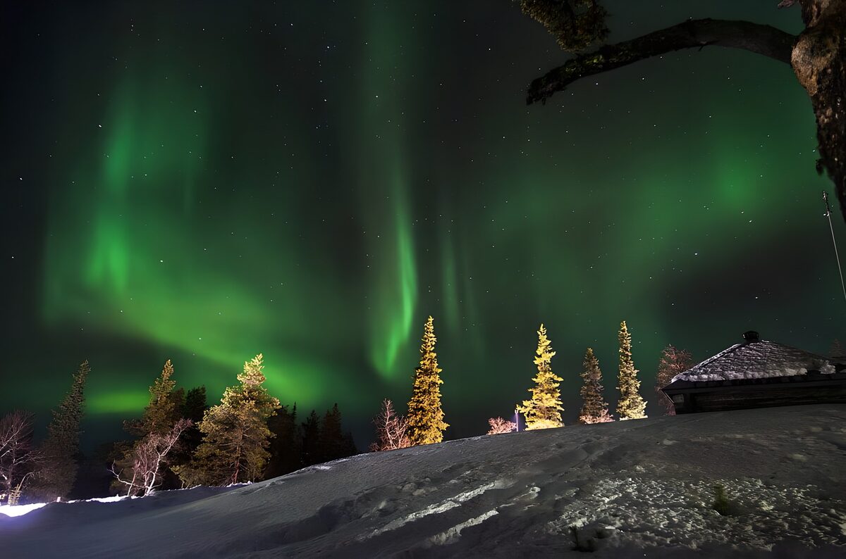 Auroraborealis boven besneeuwde bossen