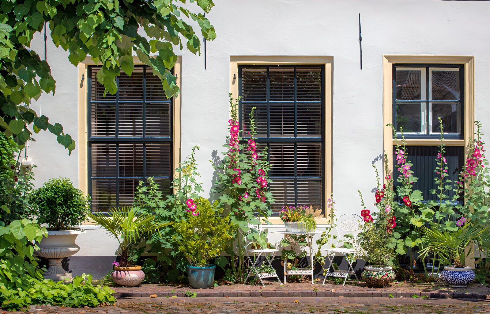 CW9415765: Kleurrijke gevel met bloeiende planten
