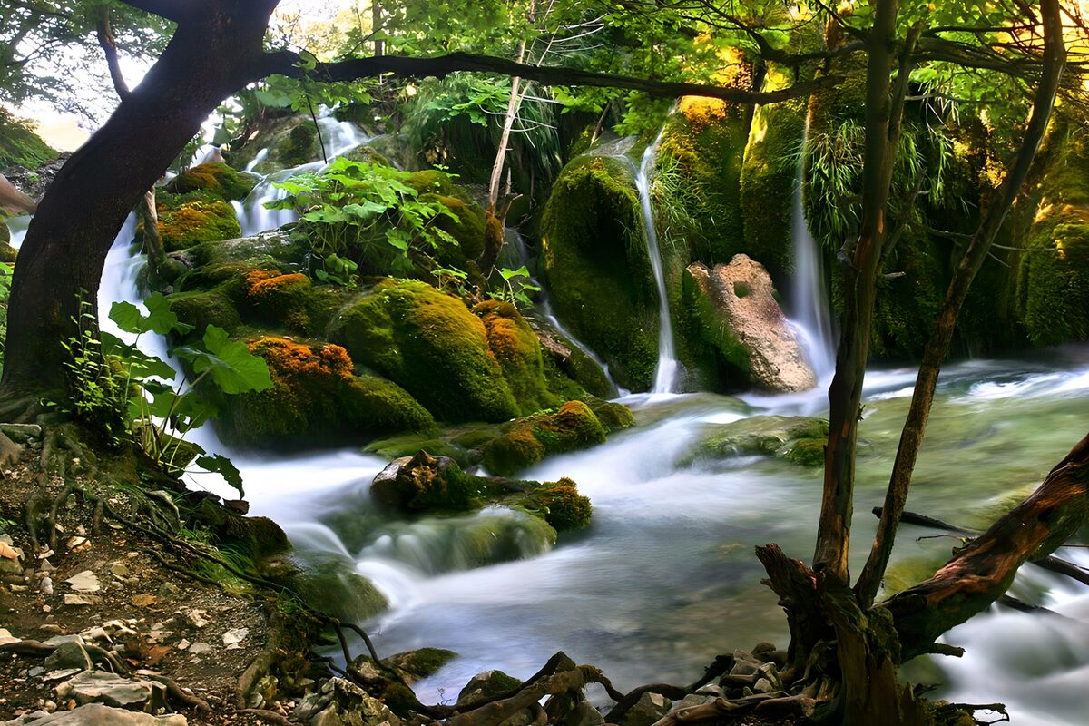 Waterval in een weelderig bos