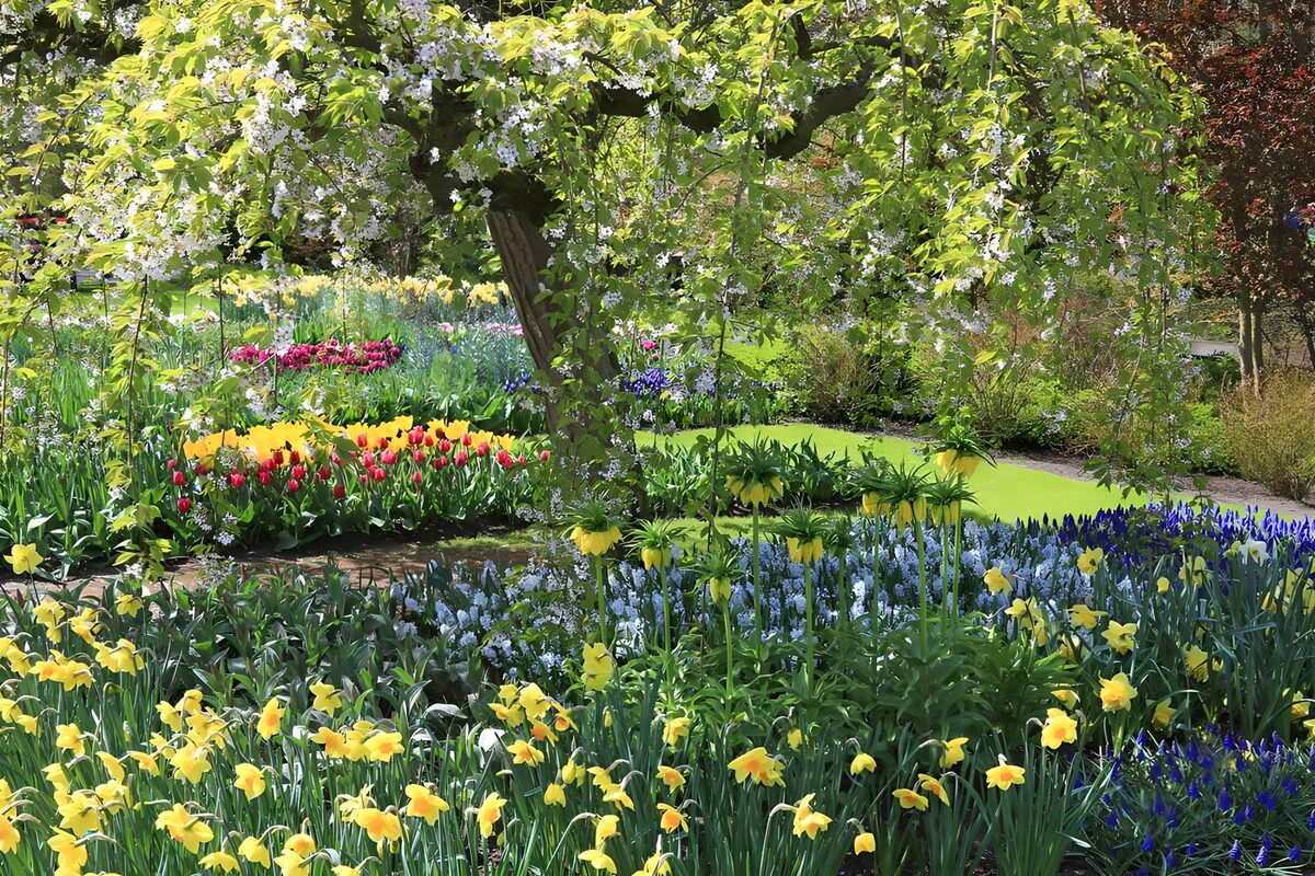 Lente in een bloementuin