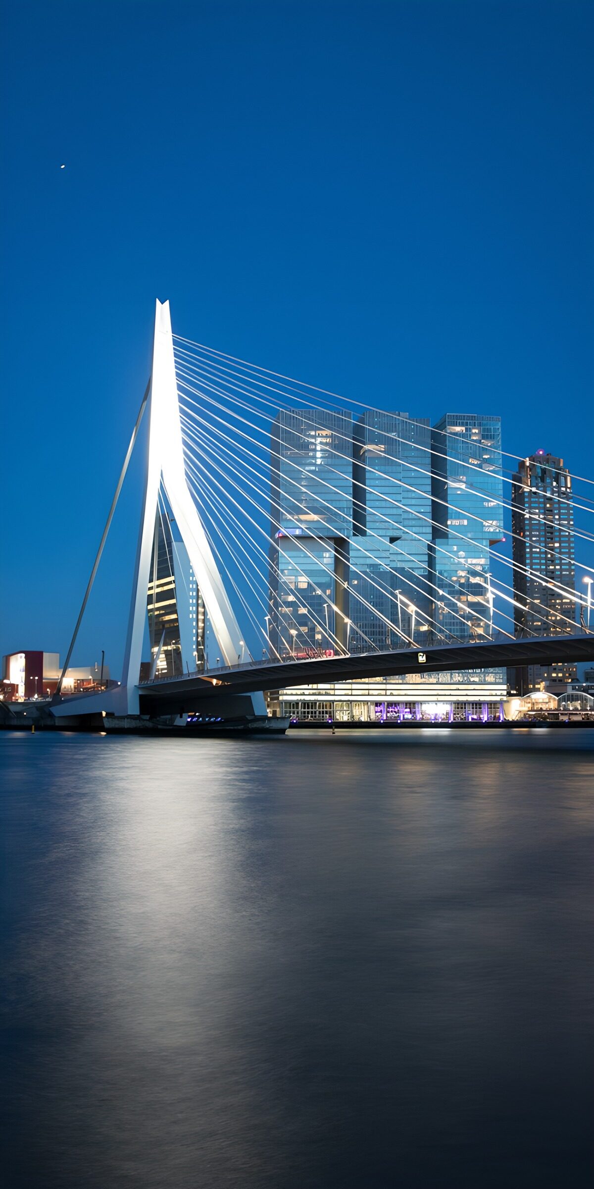 Moderne skyline van Rotterdam bij nacht