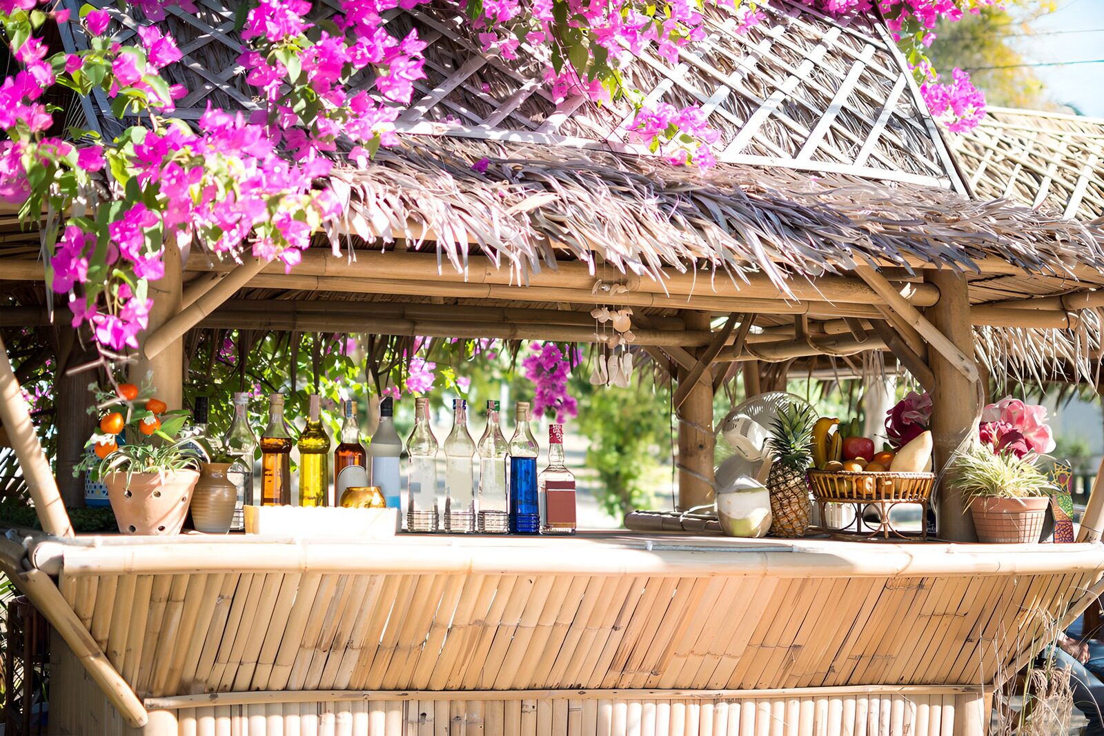 CW2108222: Tropisch Cocktailbar in de Natuur