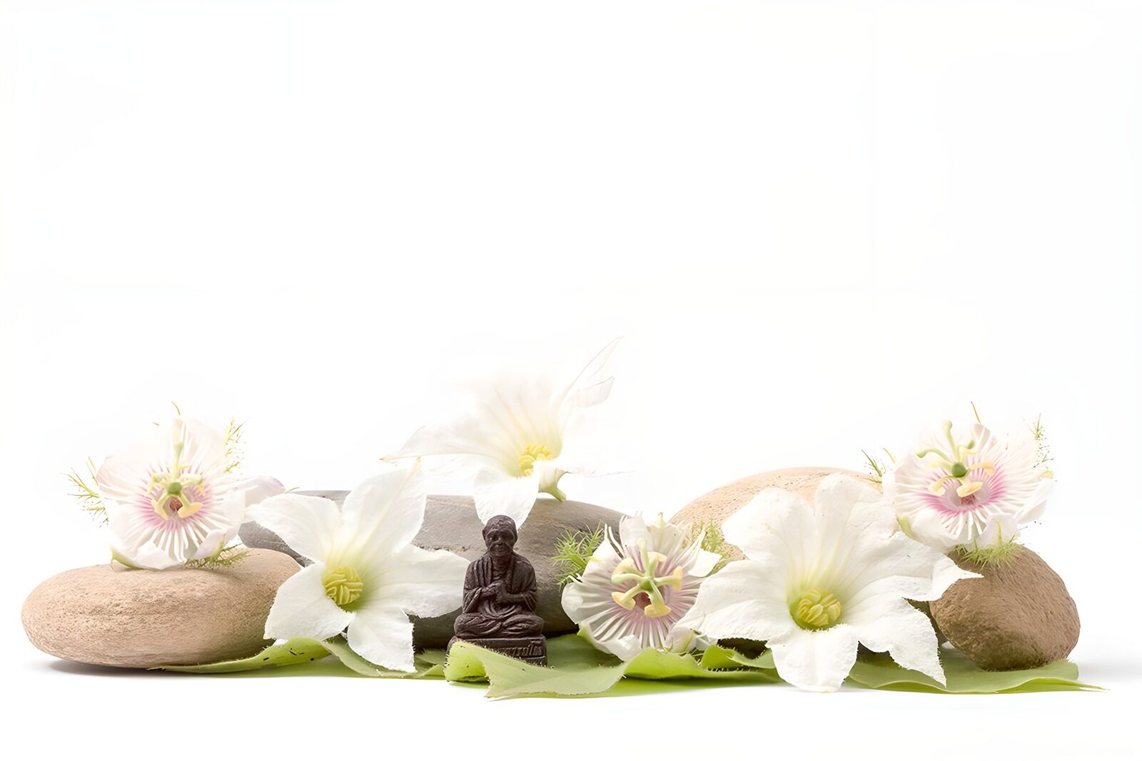 CW7309303: : Rustige zenomgeving met bloemen