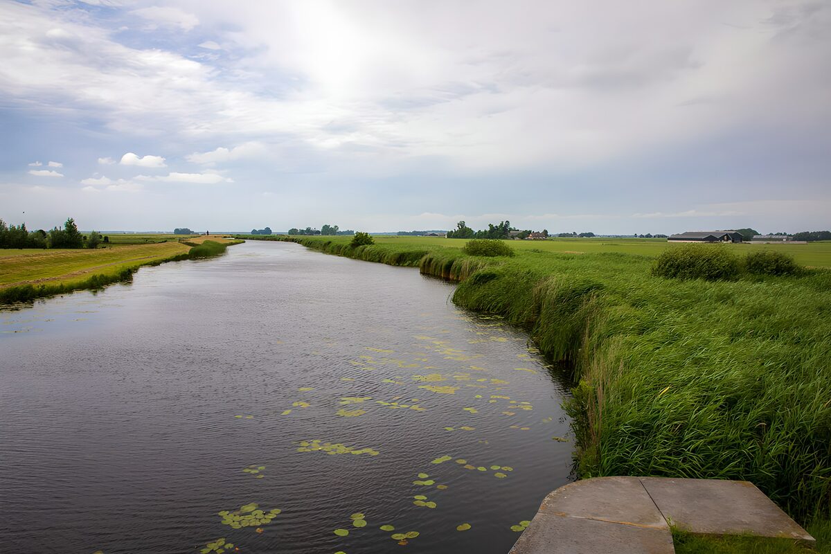 CW1902680: Rustige rivier in het groene landschap