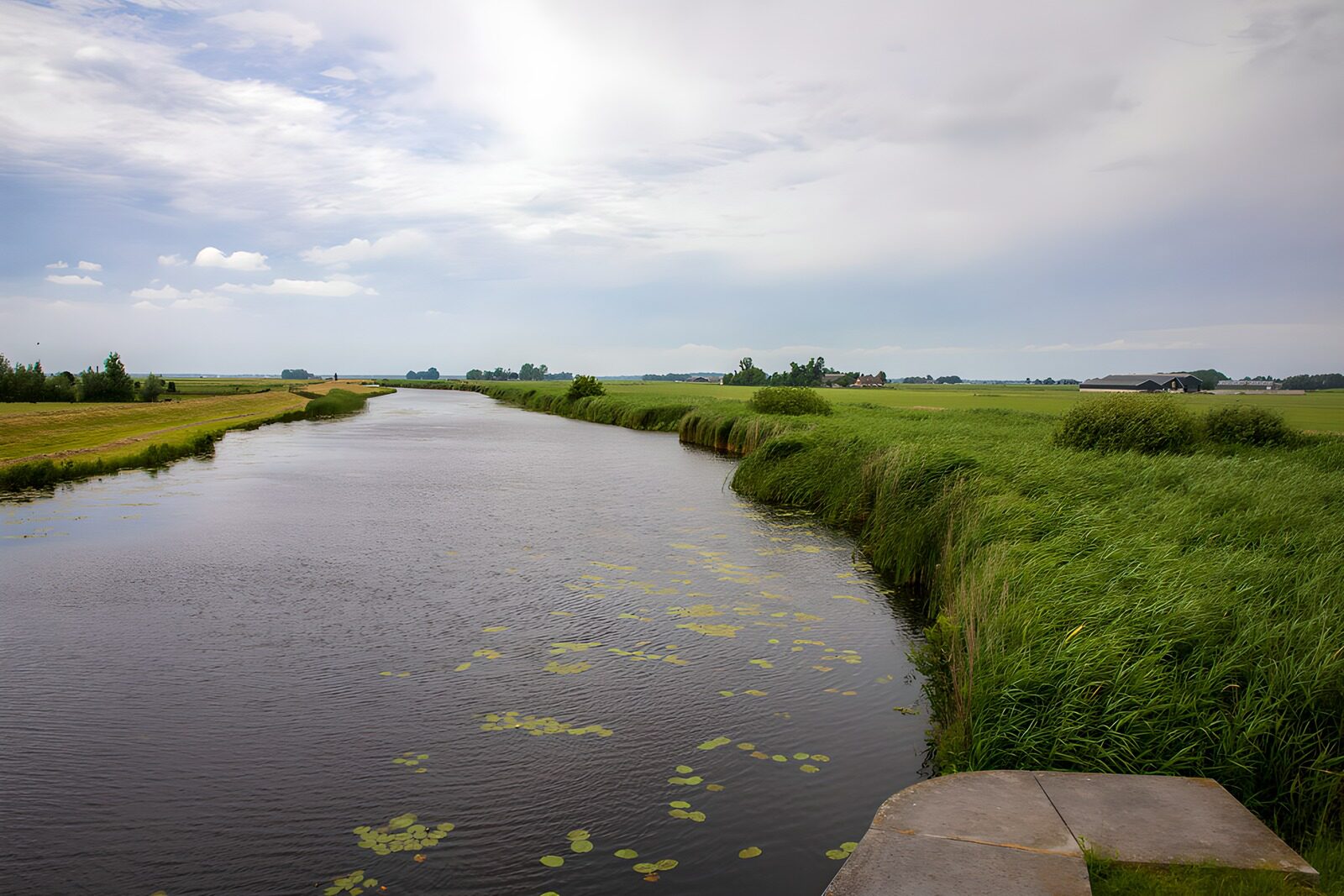 CW1902680: Rustige rivier in het groene landschap