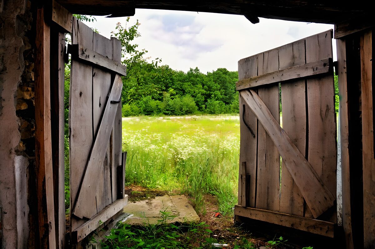 CW3008273: Open Deuren naar de Natuur