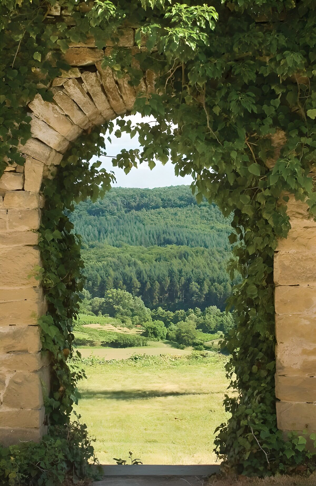 CW1442512: Poort naar het Groene landschap