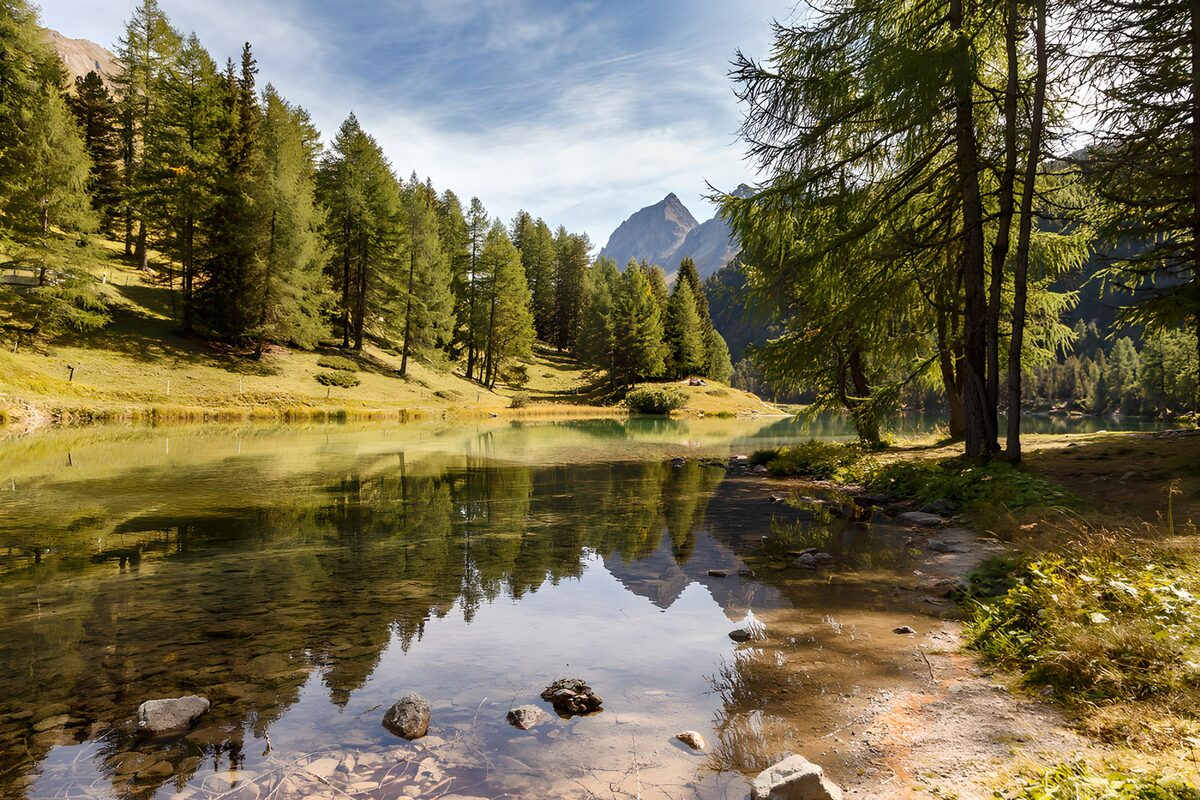 Prachtig Bergmeer omgeven door Bomen