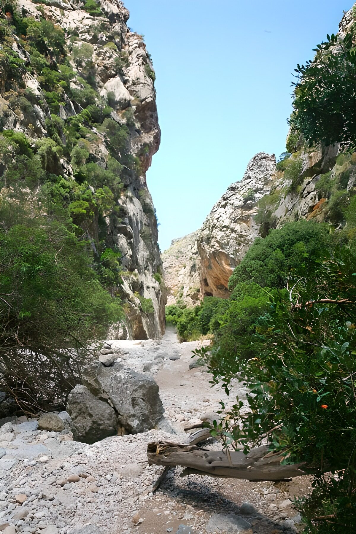 Ongerepte natuur in de kloof