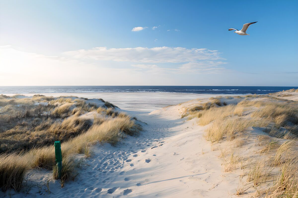 Rustige duinen langs de zee