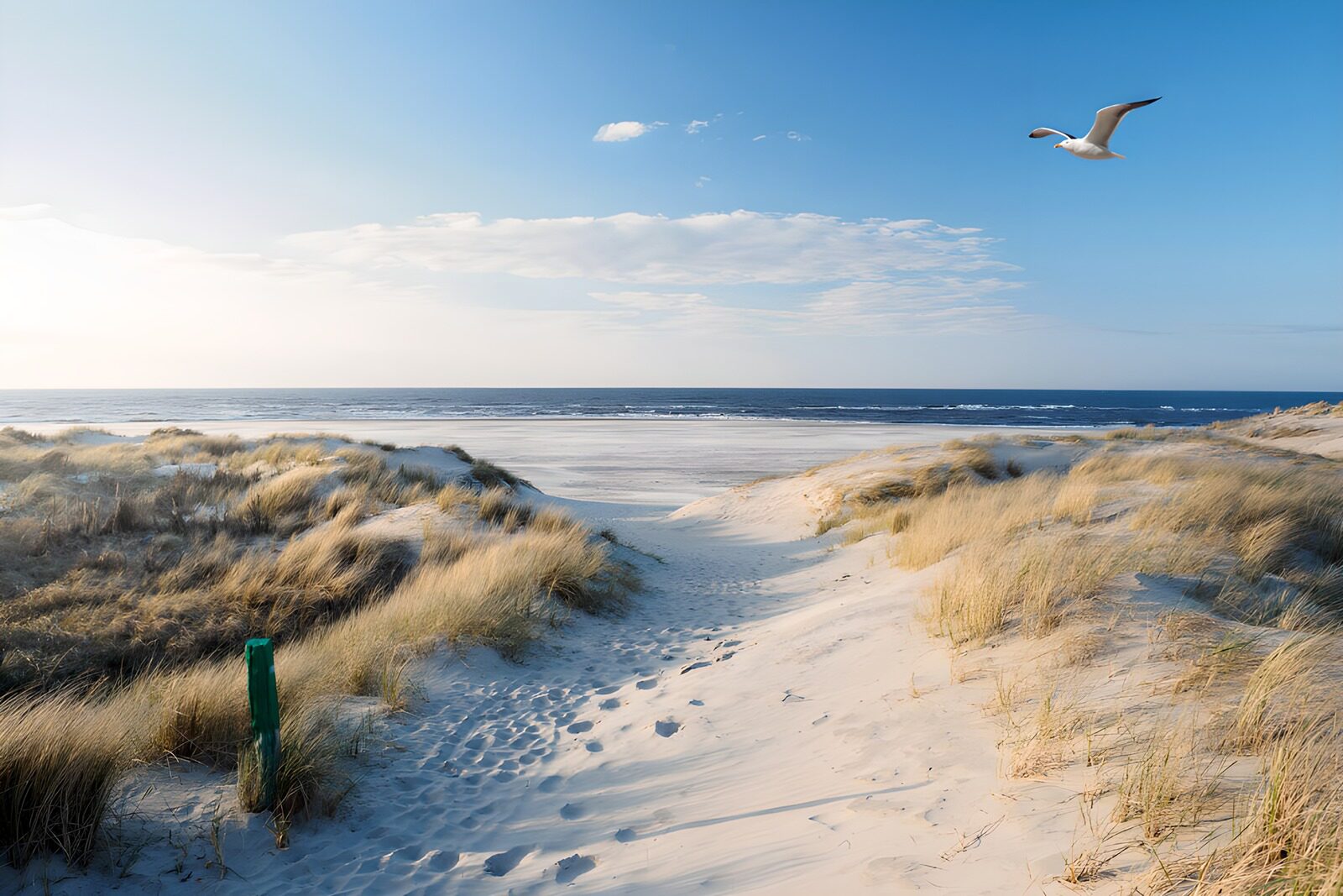 CW5527230: Rustige duinen langs de zee