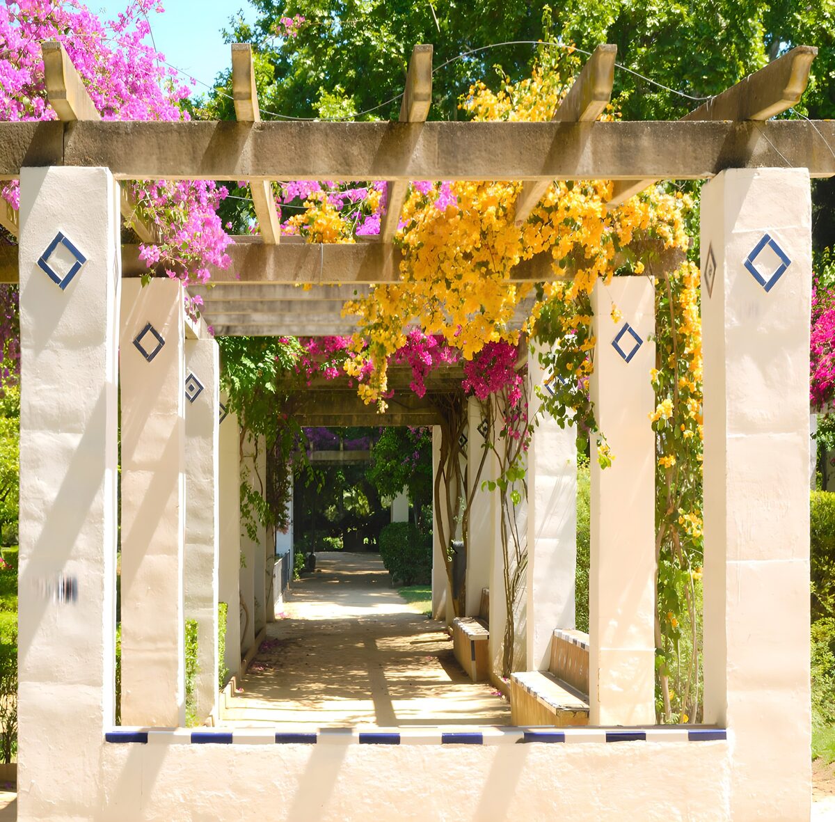 Kleurrijke pergola met bloemenpracht