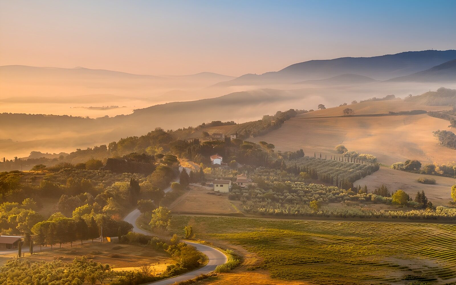 CW2428462: Mistige ochtend in Toscane