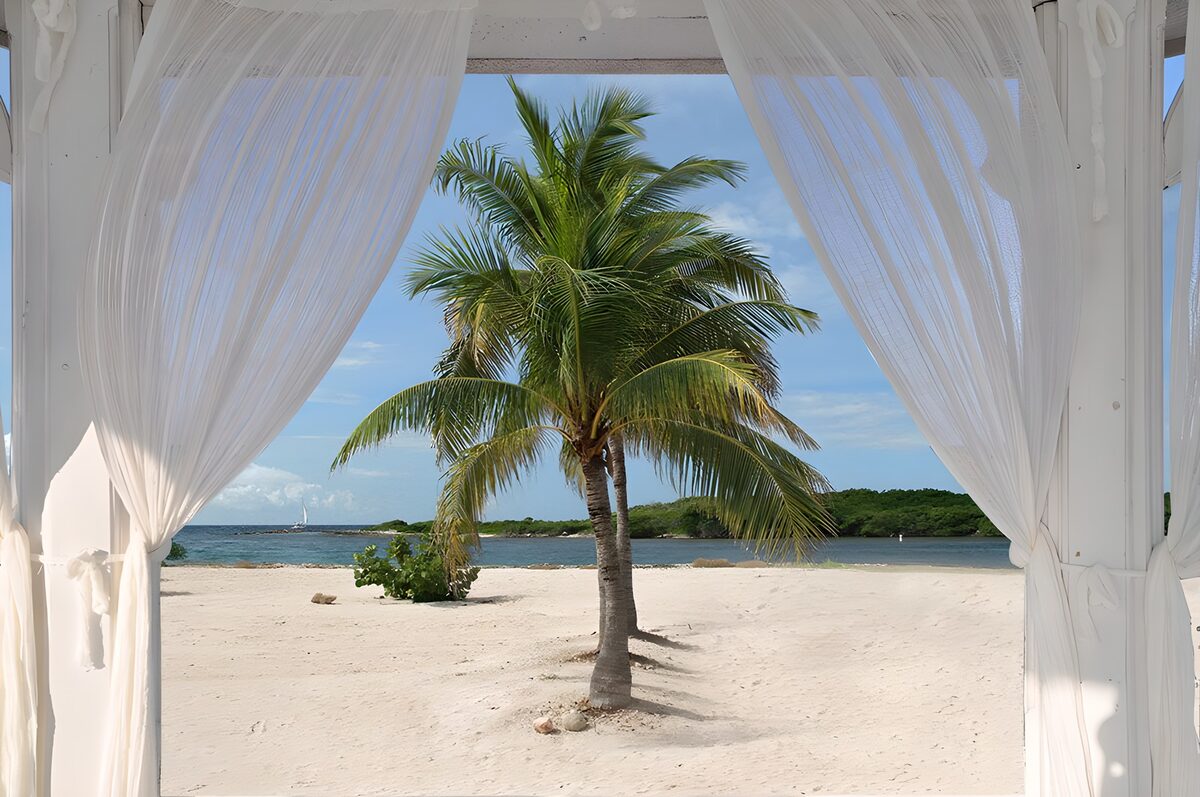 CW5003486: Tropisch paradijs met palmbomen