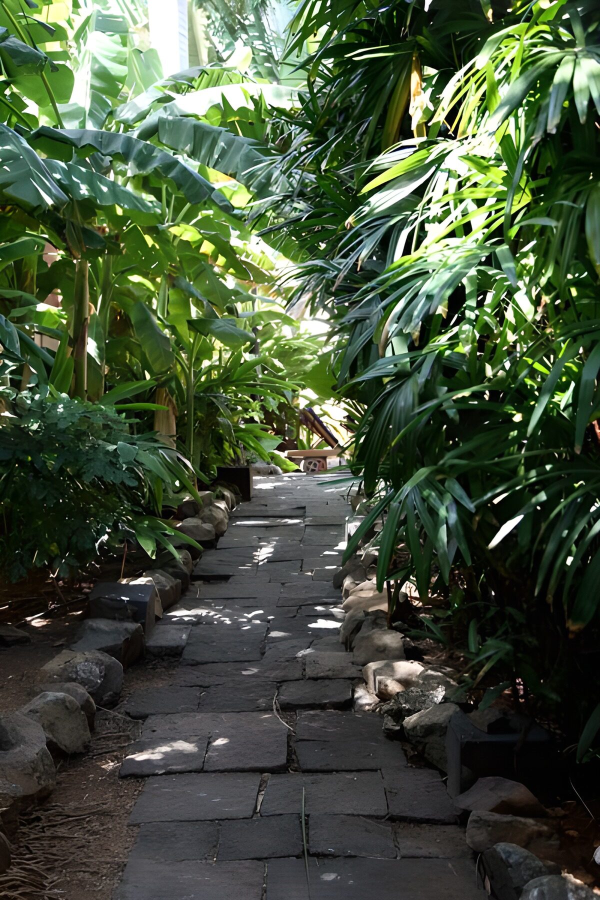 Groene Wandelweg tussen Planten