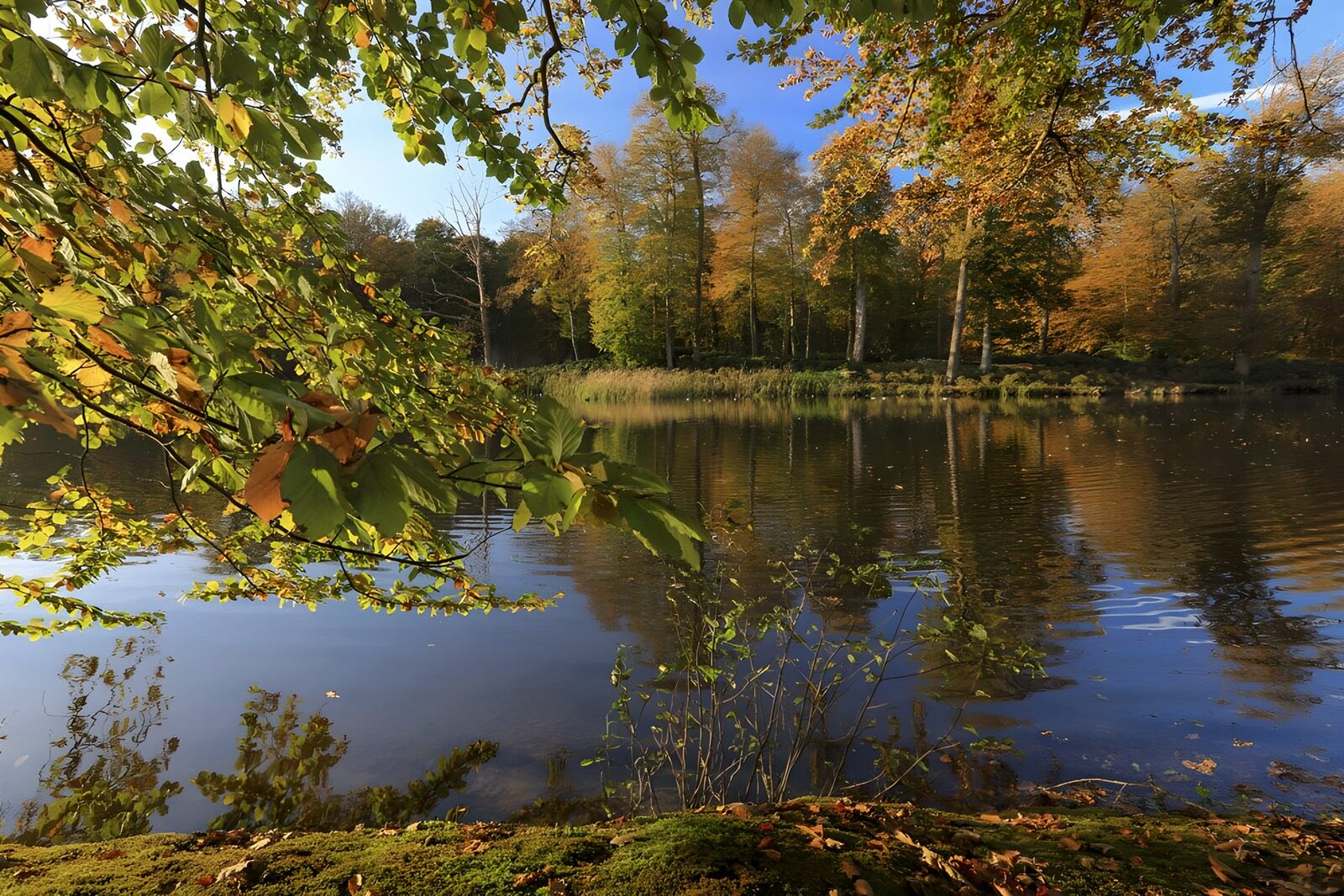 CW2935009: Prachtig herfstlandschap bij het water