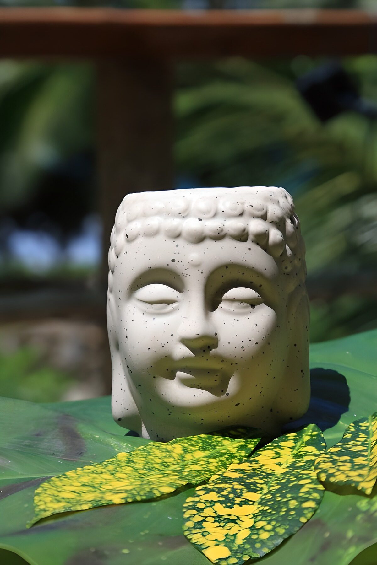 CW7931978: Buddha beeldje op groene bladeren