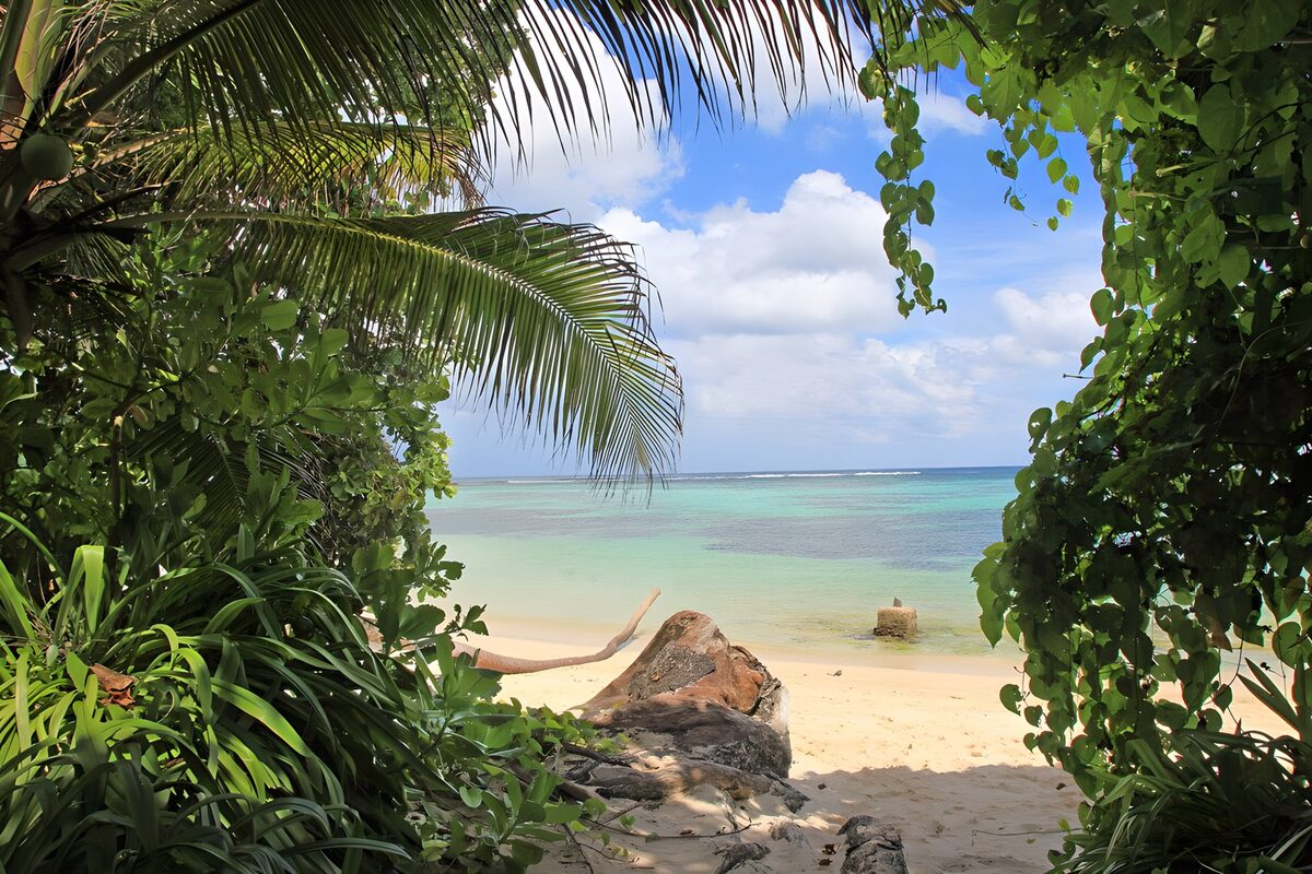 Tropisch uitzicht op een paradijselijk strand